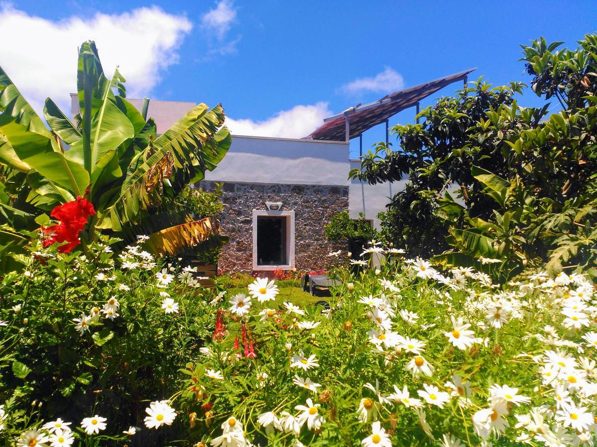 Villa Canaria Piscina Jacuzzi Jardin Santa Maria de Guia de Gran Canaria Екстер'єр фото