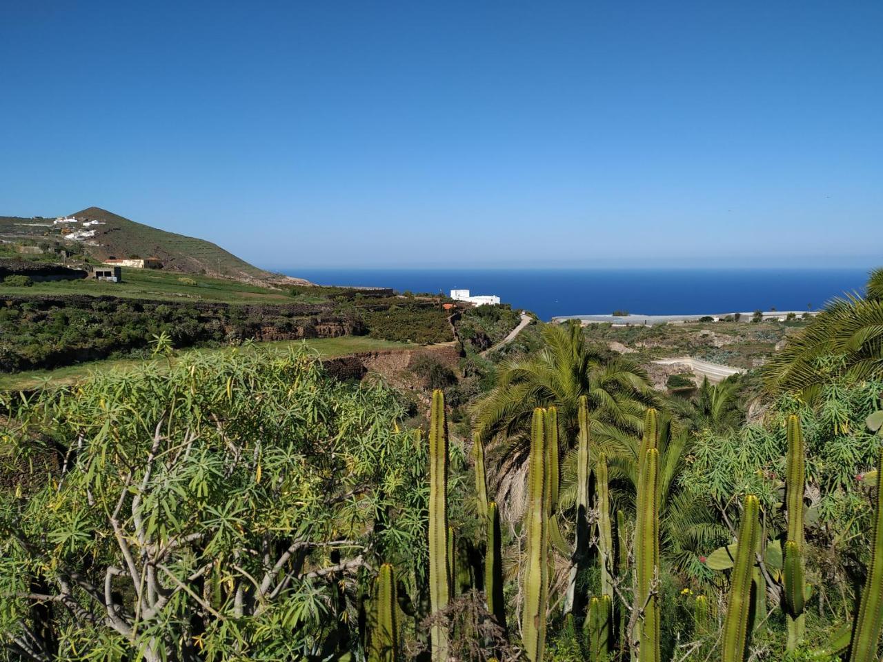 Villa Canaria Piscina Jacuzzi Jardin Santa Maria de Guia de Gran Canaria Екстер'єр фото