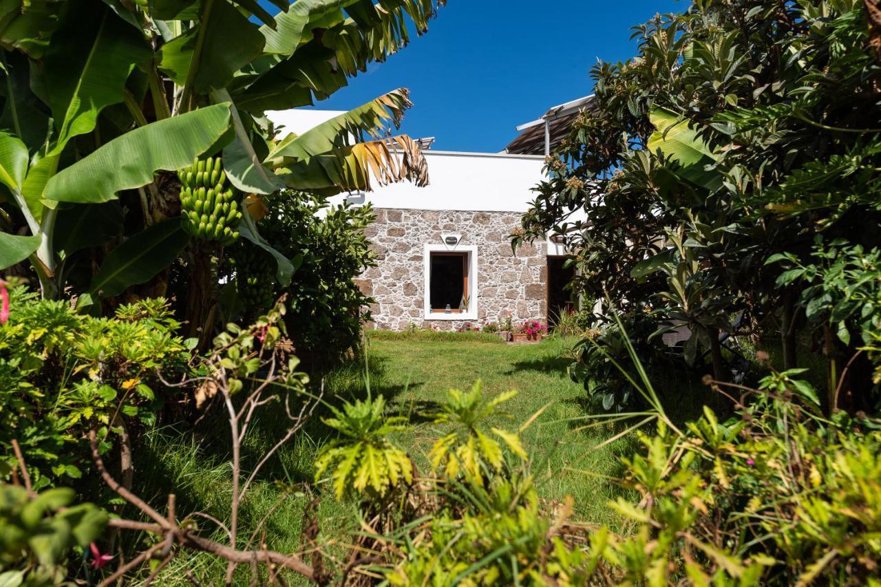 Villa Canaria Piscina Jacuzzi Jardin Santa Maria de Guia de Gran Canaria Екстер'єр фото